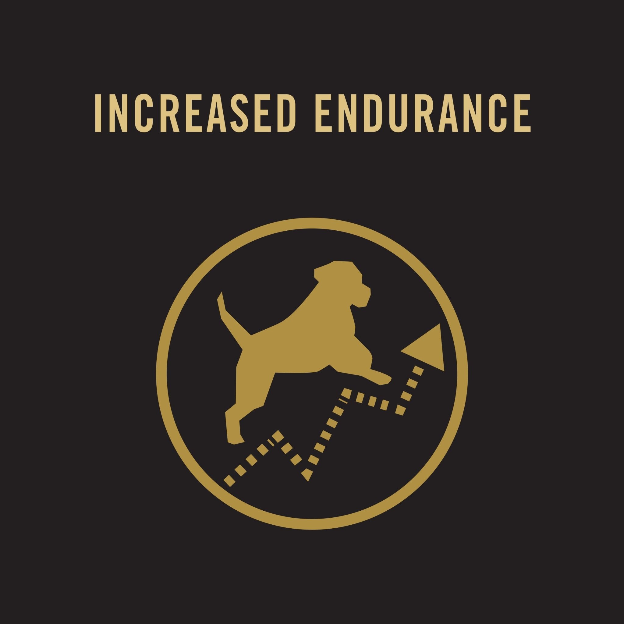 Pro Plan Dog Food Performance ( Chicken) 20kgDogsSuperpets Trading