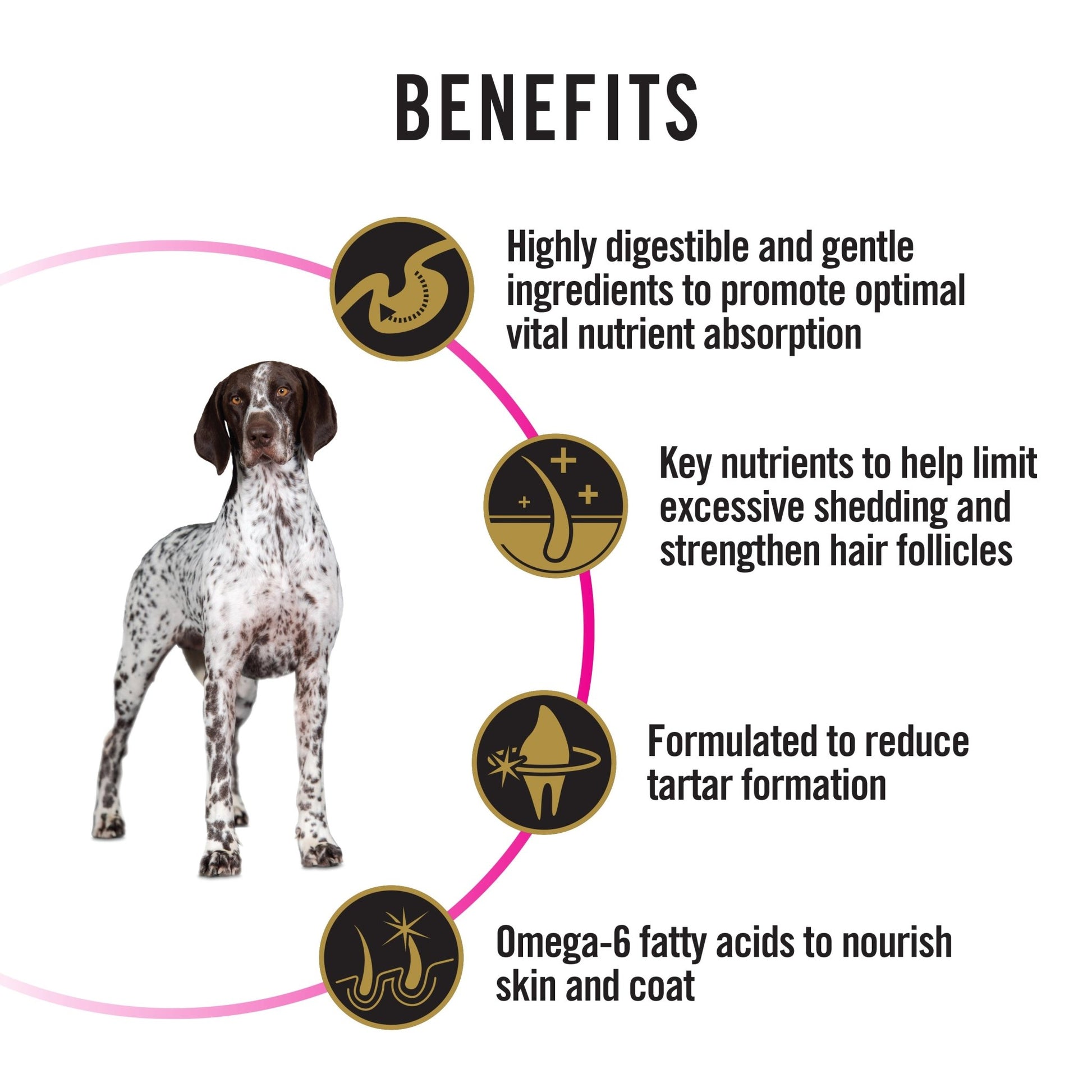 Pro Plan Dog Food Senstive Stomach & Digestion, Medium & LargeDogsSuperpets Trading