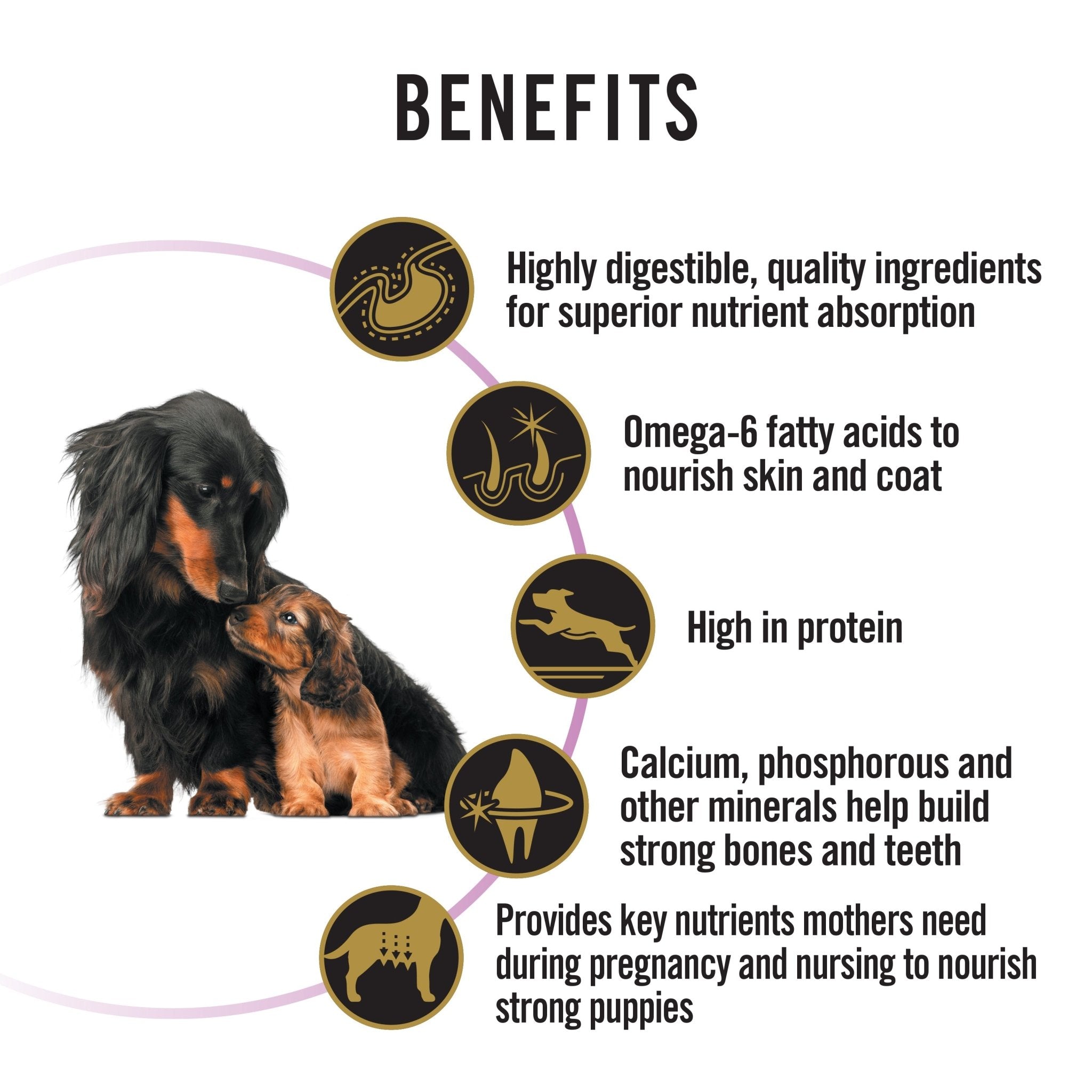 Pro Plan Performance Starter Puppy Dog 12kgDogsSuperpets Trading