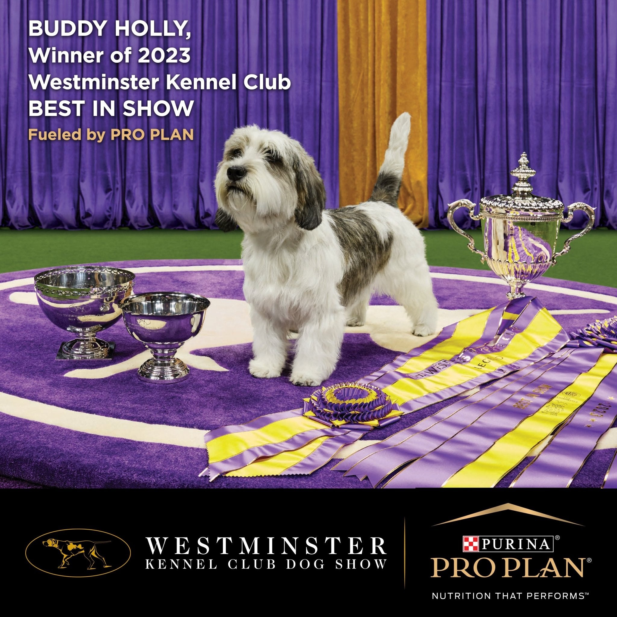 Pro Plan Performance Starter Puppy Dog 12kgDogsSuperpets Trading
