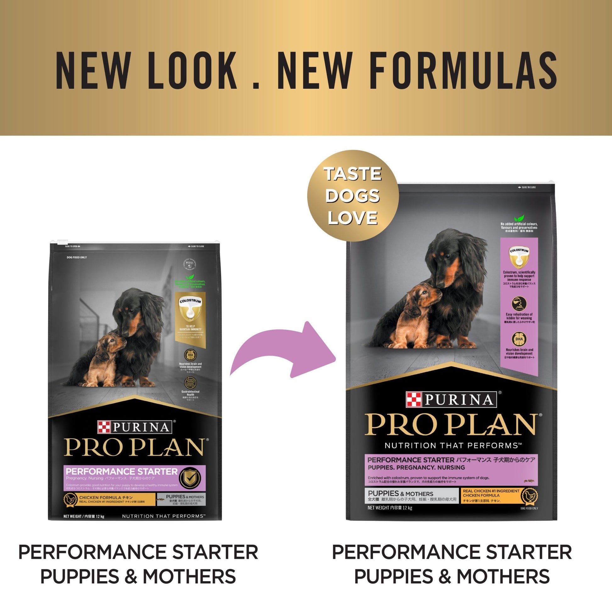 Pro Plan Performance Starter Puppy Dog 12kgDogsSuperpets Trading