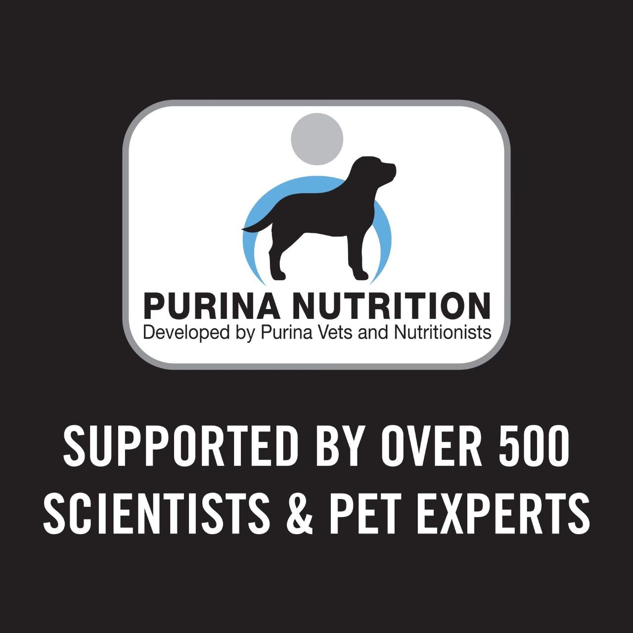 Pro Plan Puppy Small ( Chicken & Rice ) with ProbioticsDogsSuperpets Trading