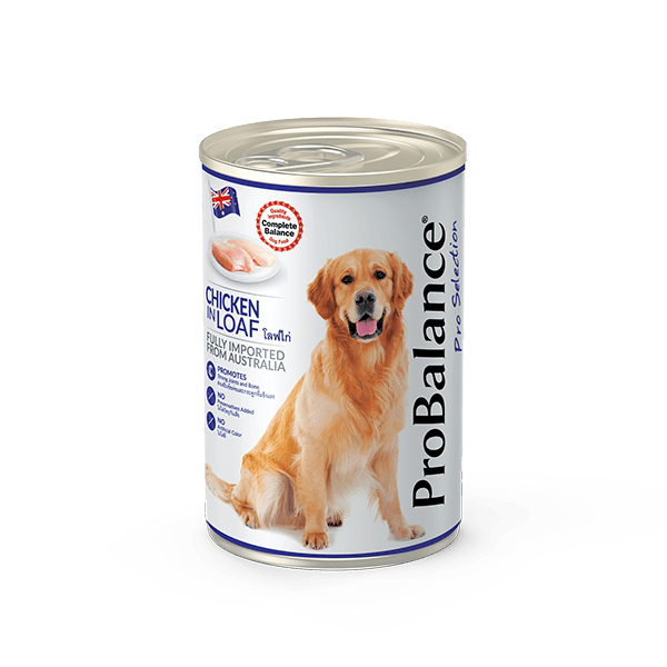 ProBalance Chicken in Loaf Dog wet food 700gDogsSuperpets Trading