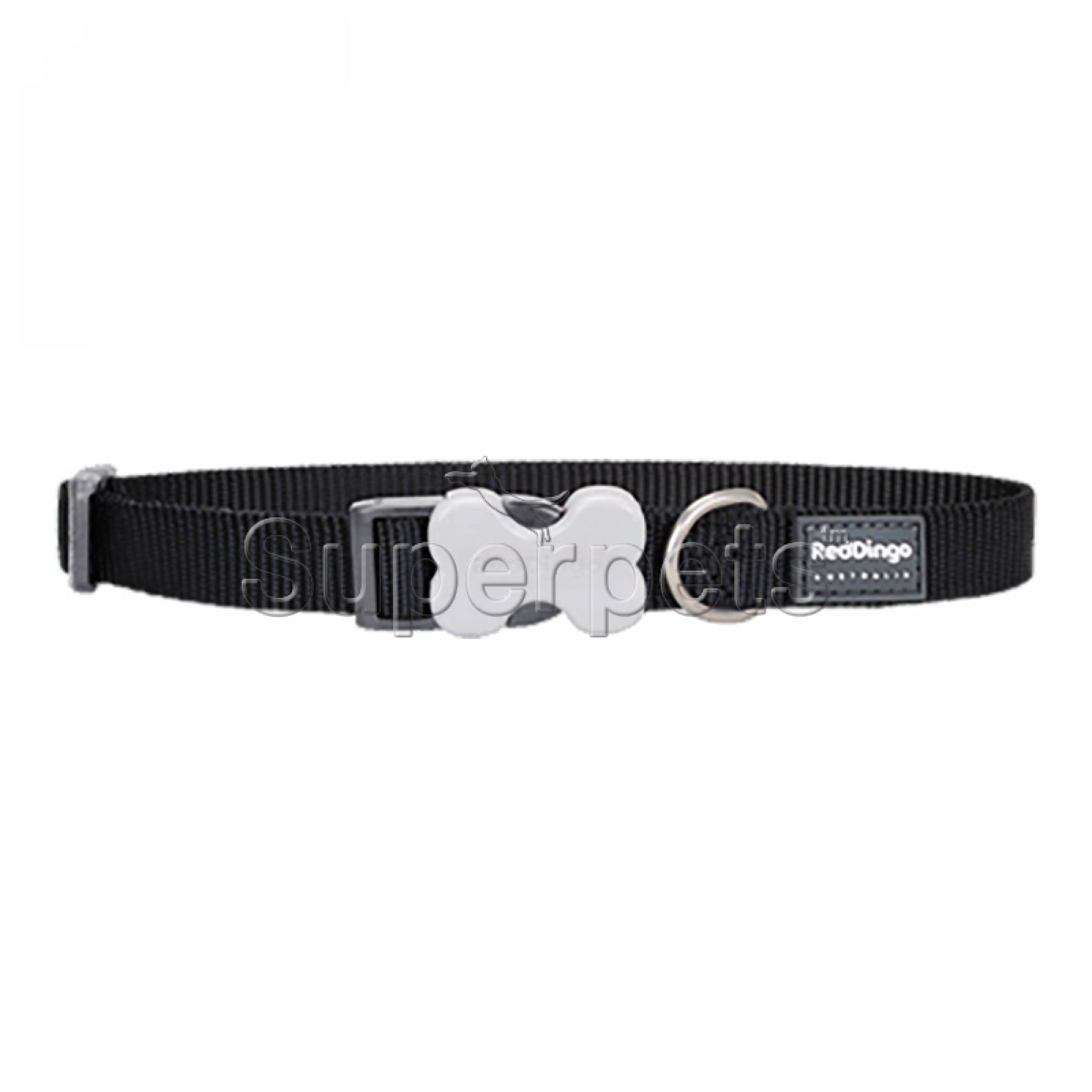 Red Dingo Dog Collar 12mm - BlackDogsSuperpets Trading