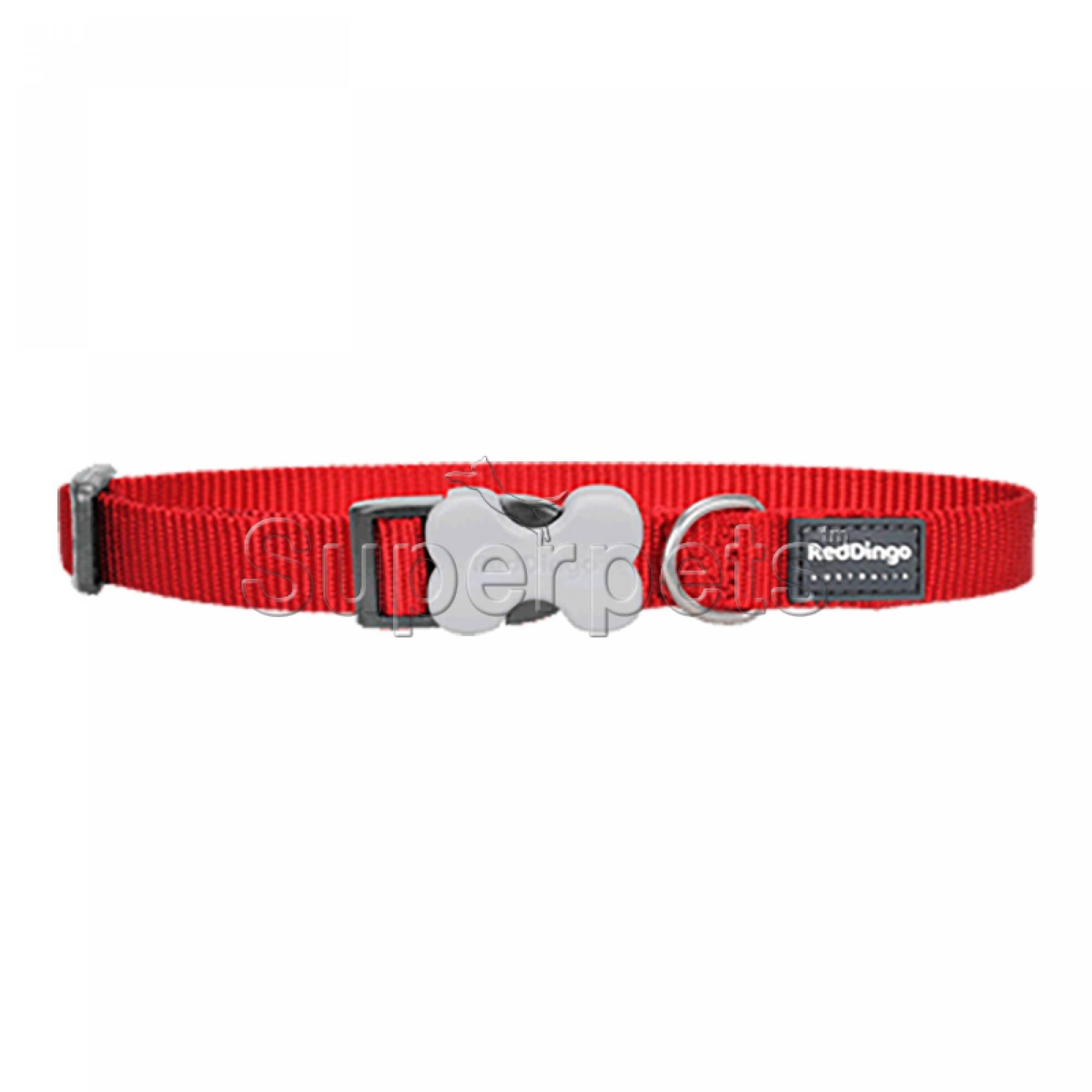 Red Dingo Dog Collar 12mm - RedSuperpets Trading