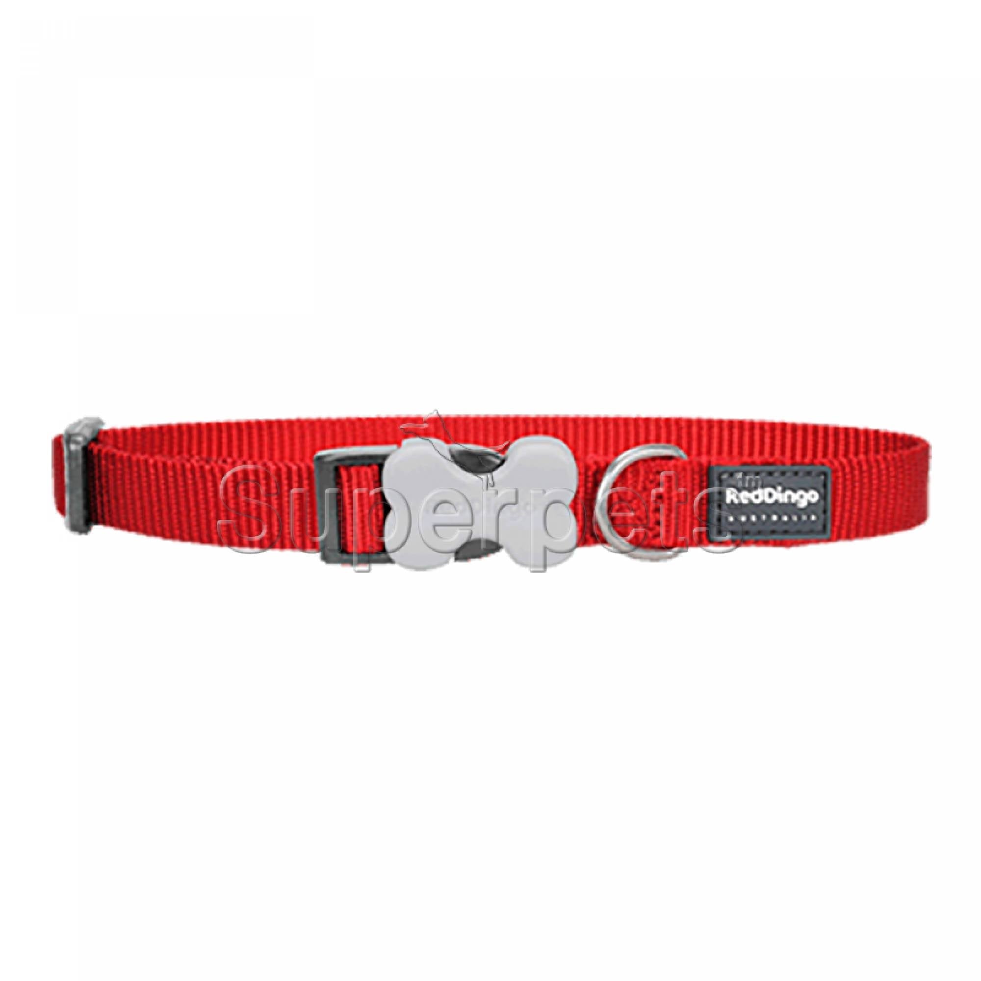 Red Dingo Dog Collar 15mm - RedDogsSuperpets Trading