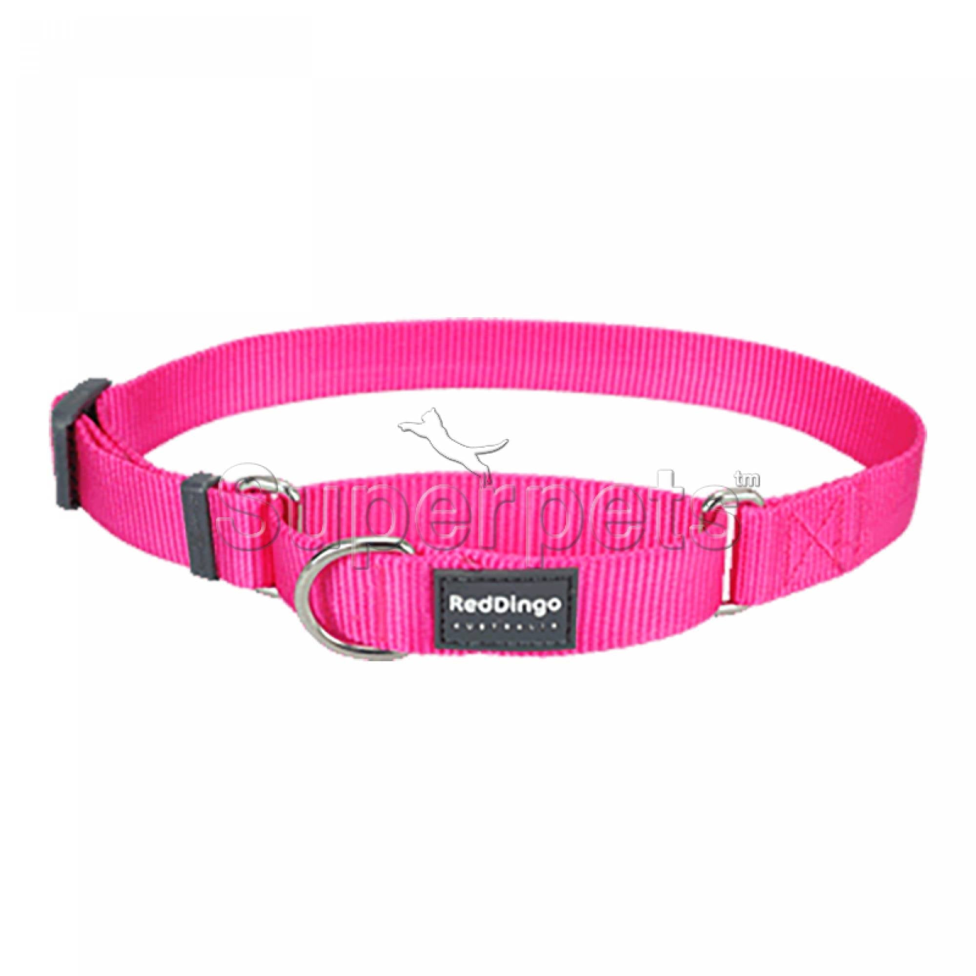 Red Dingo Dog Half Check Collar 20mm - Hot PinkSuperpets Trading